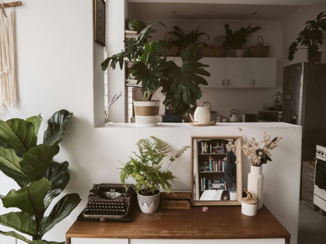 Living Plants Have a Health Benefit